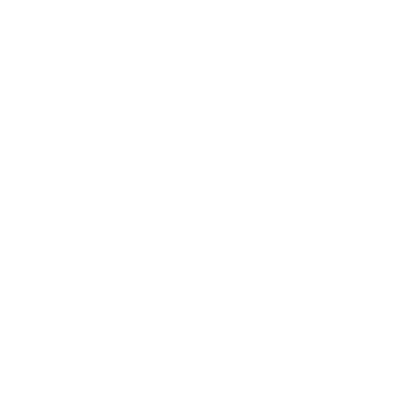 Segurança