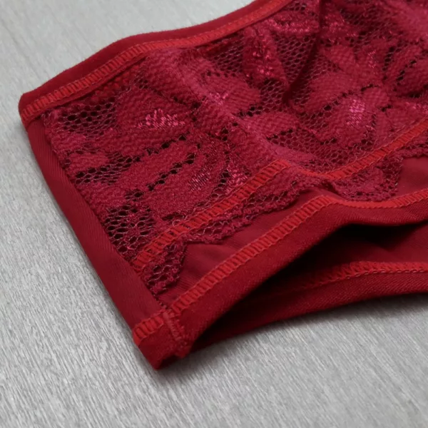 Calcinha Biquíni Microfibra e Renda - Imagem 6