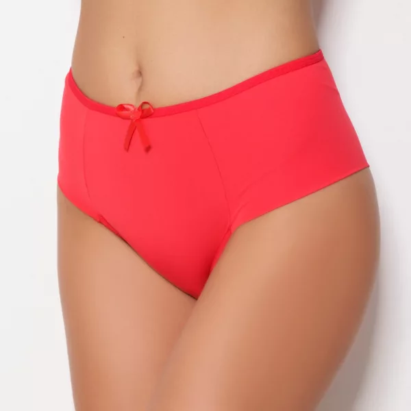 Tanga Pala Microfibra Lisa - Imagem 6