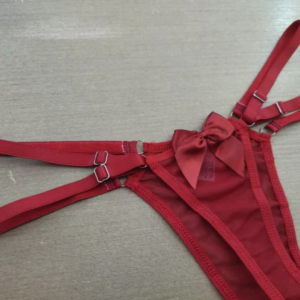 Tanga Sensual Fio Gabi Tule - Imagem 6