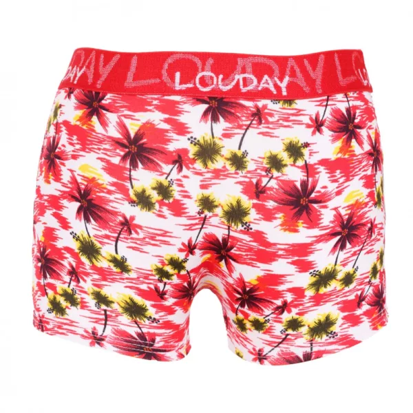 Cueca Boxer Infantil Romantic Estampada - Imagem 2