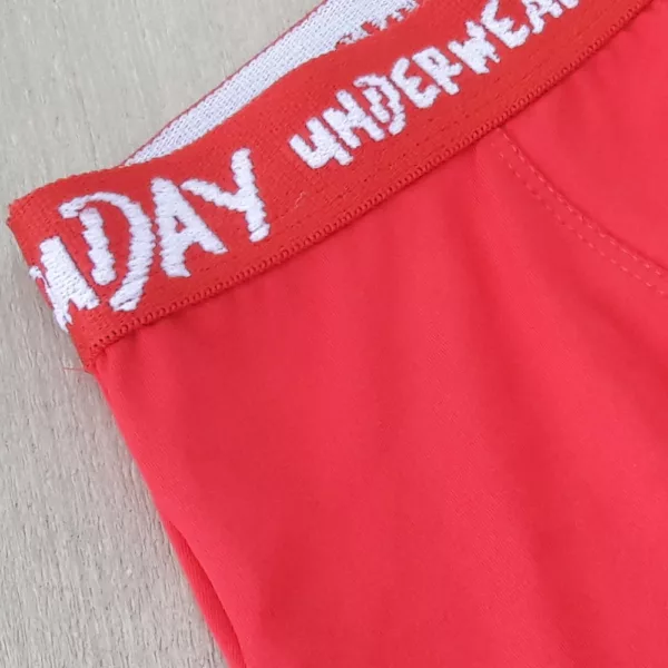 Cueca Boxer Infantil Romantic Lisa - Imagem 4